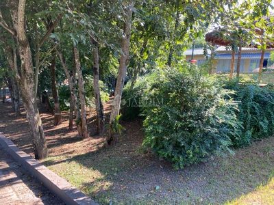 Chácara, 3 quartos - Foto 4