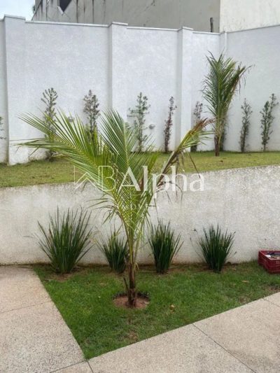 Casa, 3 quartos, 472 m² - Foto 2