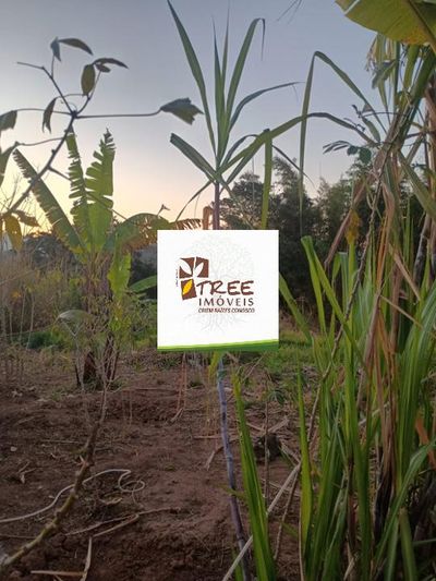 Terreno, 500 m² - Foto 2