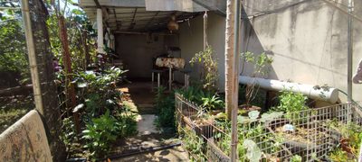 Terreno, 250 m² - Foto 1