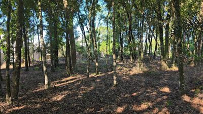 Terreno, 585 m² - Foto 4