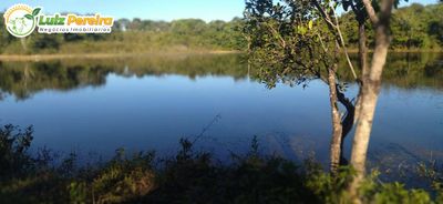 Terreno, 1630 m² - Foto 3