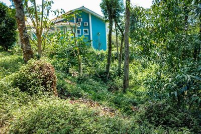 Terreno, 1000 m² - Foto 2
