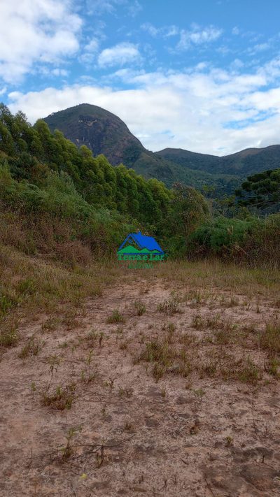 Chácara, 10 hectares - Foto 4