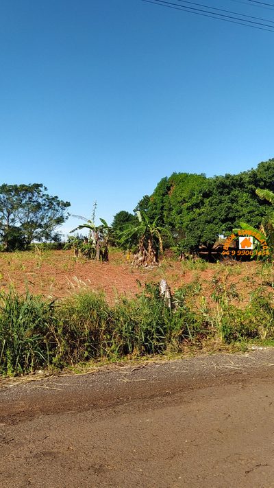 Chácara, 3000 m² - Foto 4