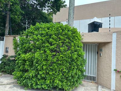 Casa, 4 quartos, 543 m² - Foto 2