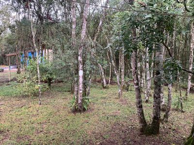 Chácara, 2 quartos, 2500 m² - Foto 4