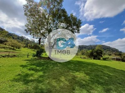 Sítio, 2 quartos, 50 hectares - Foto 3