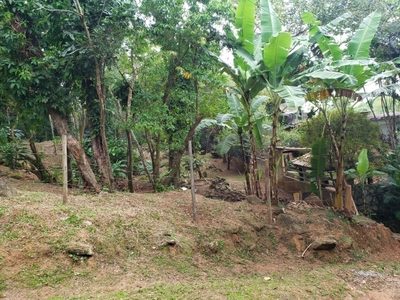 Terreno, 650 m² - Foto 3