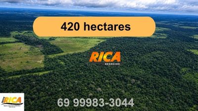 Fazenda, 420 hectares - Foto 1