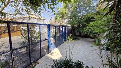 Casa, 4 quartos, 350 m² - Foto 2