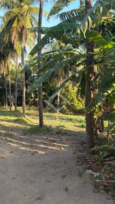 Terreno, 10000 m² - Foto 5