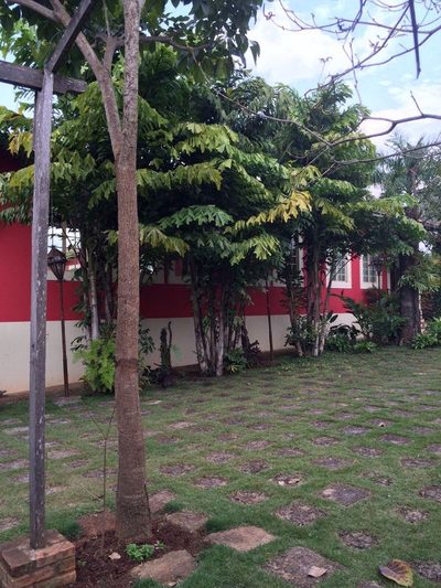 Chácara, 2 quartos, 1200 m² - Foto 4