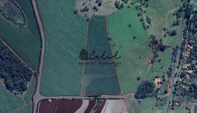 Chácara, 1 quarto, 9 hectares - Foto 2