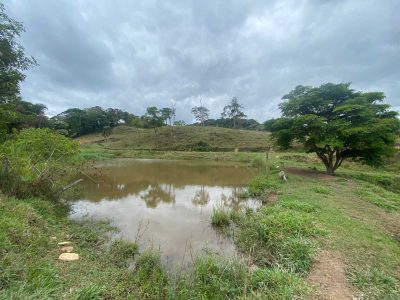 Fazenda, 58 hectares - Foto 1