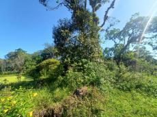 Terreno, 280 m² - Foto 2
