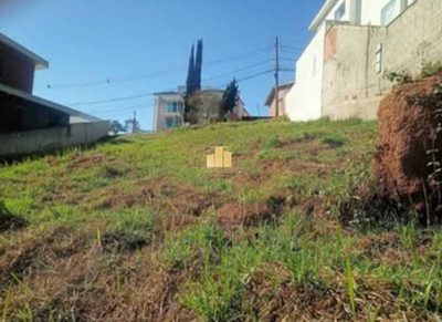 Terreno, 2516 m² - Foto 5