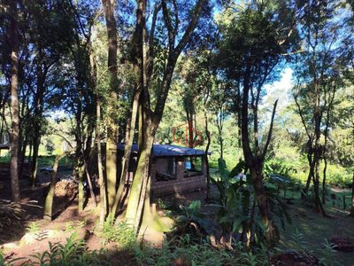 Sítio, 2 quartos, 2 hectares - Foto 4