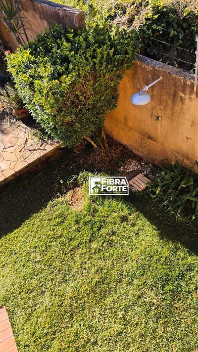 Casa, 5 quartos, 460 m² - Foto 3