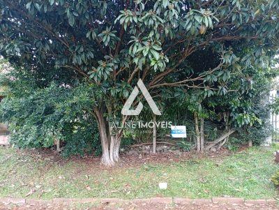 Terreno - Foto 1