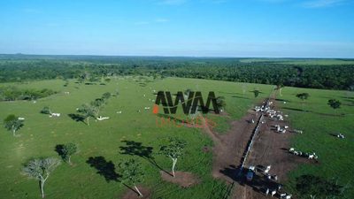 Fazenda, 6280 hectares - Foto 1