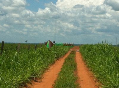 Terreno, 3 hectares - Foto 2