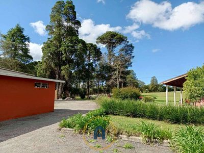 Depósito-Galpão, 380 m² - Foto 3