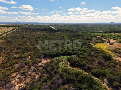 Fazenda - Foto 1