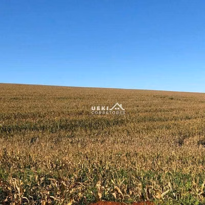 Fazenda, 208 hectares - Foto 1