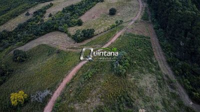 Fazenda, 99 hectares - Foto 4