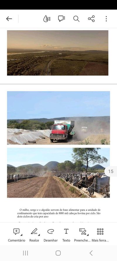 Sítio, 5 quartos, 10000 hectares - Foto 3
