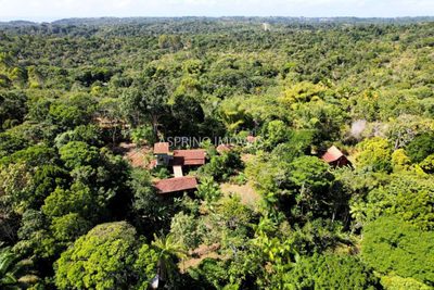 Chácara, 4 quartos, 4 hectares - Foto 4