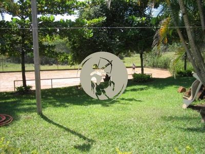 Terreno, 5 hectares - Foto 4