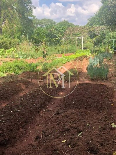 Chácara, 3 quartos, 3 hectares - Foto 4