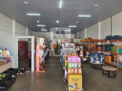 Loja-Salão, 240 m² - Foto 2