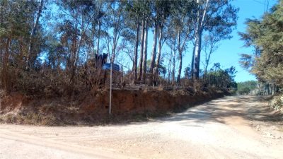 Terreno, 2 hectares - Foto 4