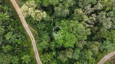 Sítio, 1 quarto, 17 hectares - Foto 5