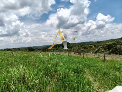 Fazenda, 589 m² - Foto 2