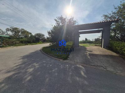 Chácara, 3 quartos, 1000 m² - Foto 3