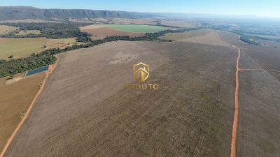 Fazenda, 160 hectares - Foto 4