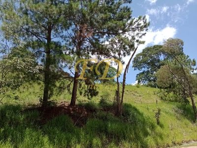 Terreno, 2 hectares - Foto 2