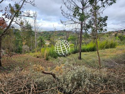 Terreno, 4100 m² - Foto 3