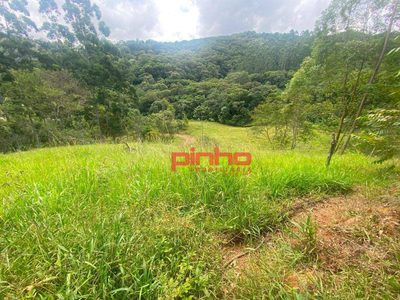 Terreno, 2 hectares - Foto 4