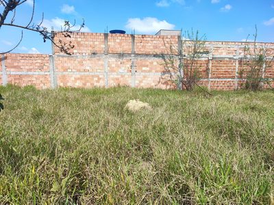 Terreno, 200 m² - Foto 1
