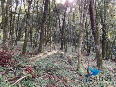 Terreno, 5810 m² - Foto 5