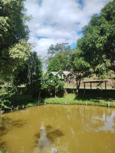 Casa, 3 quartos, 558 m² - Foto 5