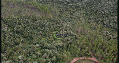 Fazenda, 121 hectares - Foto 1