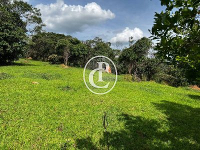 Terreno, 2 hectares - Foto 4