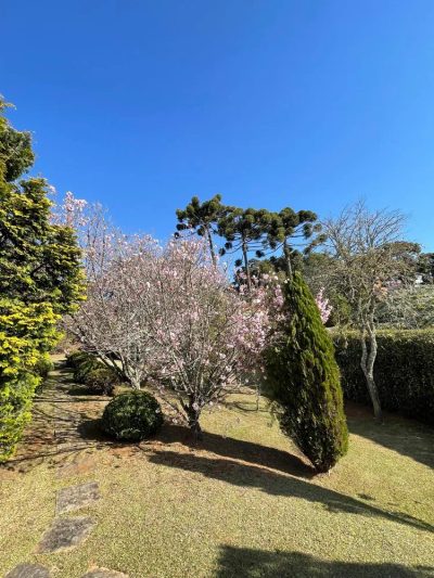 Terreno, 1700 m² - Foto 2