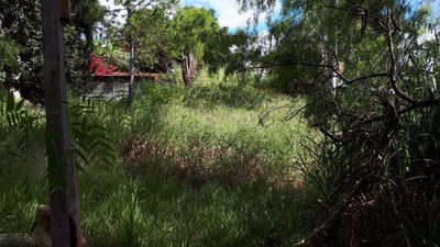 Terreno, 1536 m² - Foto 3